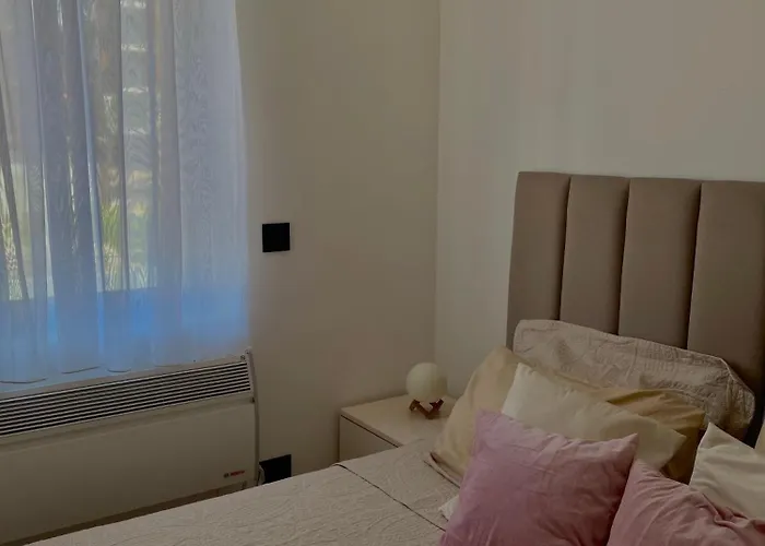 Silver Wings 즐라티보