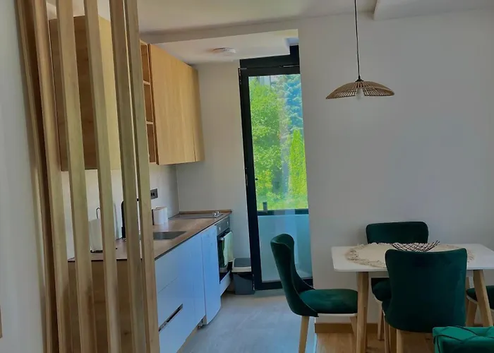 Silver Wings 즐라티보